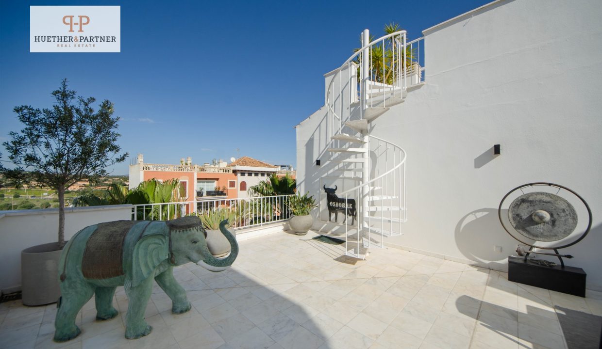 Terrasse 3