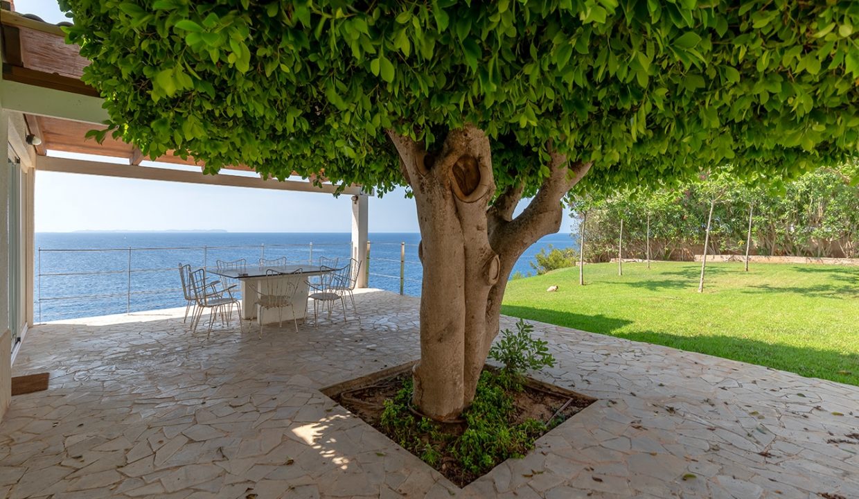 61344a5c-5430-4d08-8775-46a81a1298ee