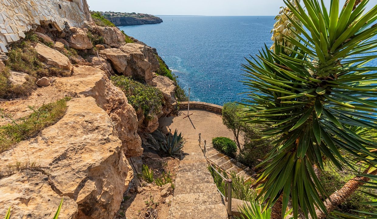 c1a9445d-8ad6-46fe-b82a-7dd7b785fe7f