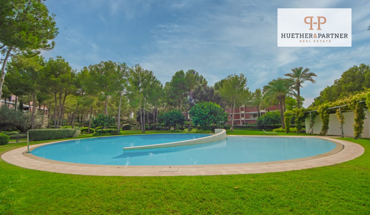 b903027b-aea8-41e0-b215-310241c719ca