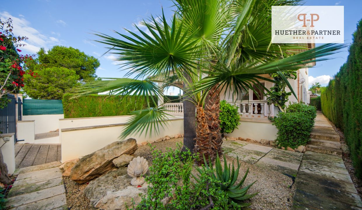 3c1f1af1-2aad-4a81-ba56-a5fc985d93d3