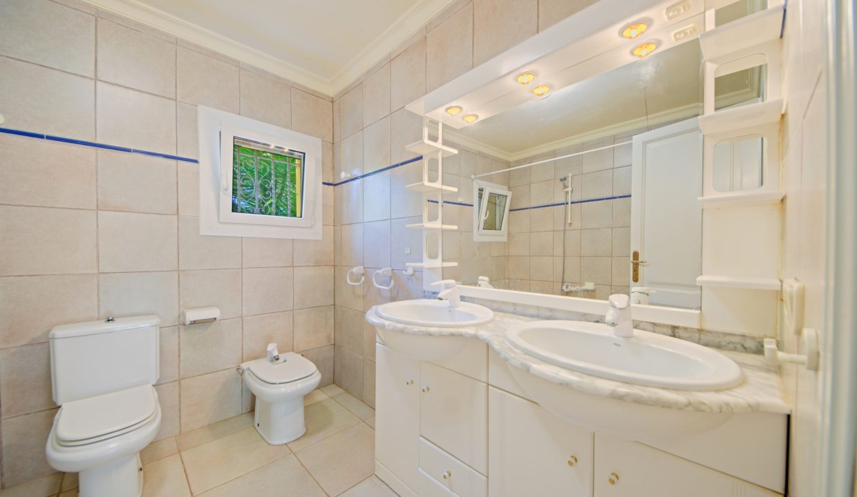 3ca5157b-90de-43a2-ac49-0c773d4432dc