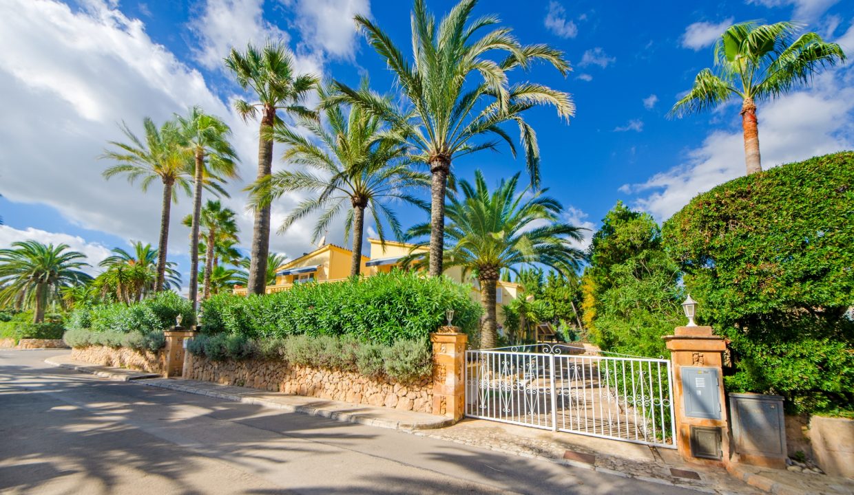 64917f42-b29b-4e4b-a08e-eabe022dbe47