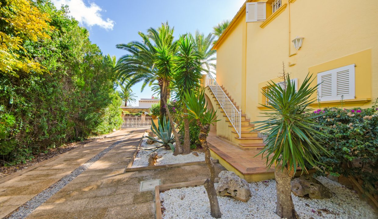 995ca982-bb35-4cc1-ba48-ac5c5f41afa4