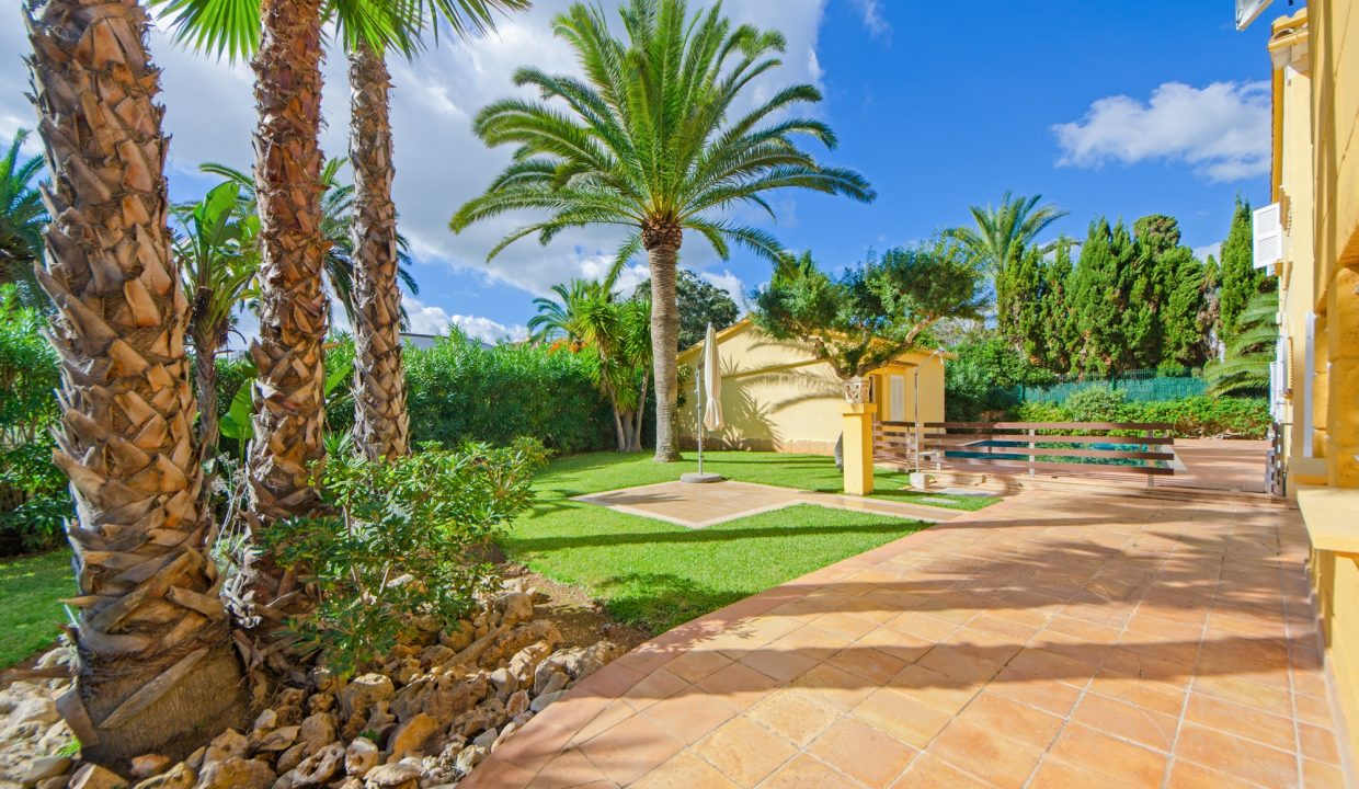 aedf67a8-555b-4908-9dcf-4bbd8c7489bc