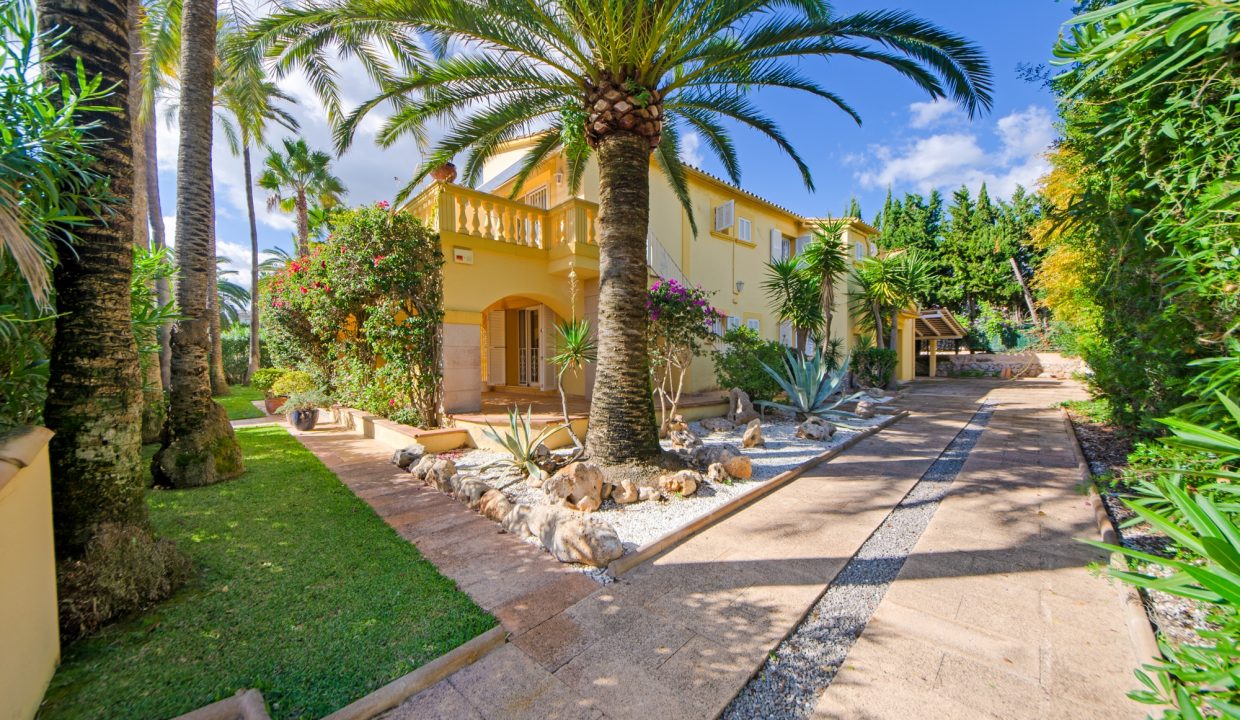 bb86ad72-2022-44fd-91d3-dada5544192f