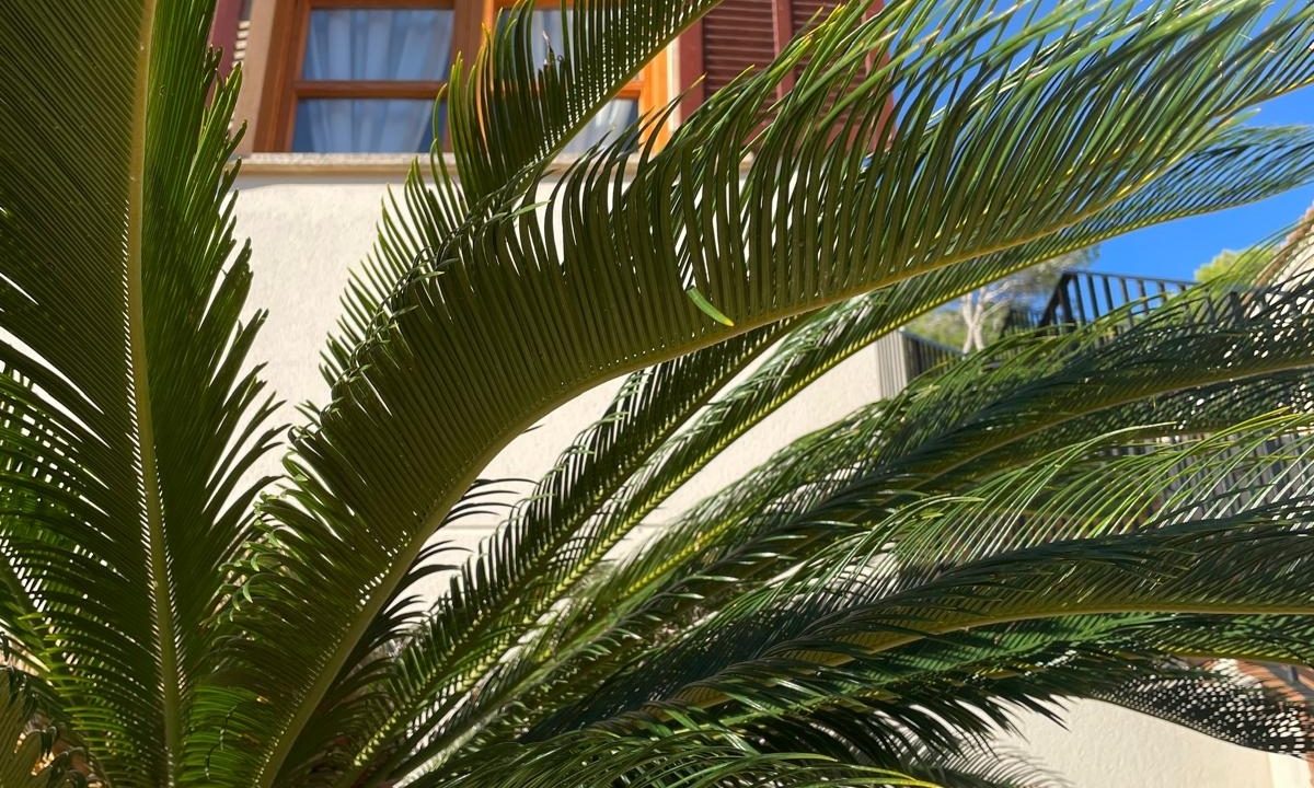 e1aae926-1ac9-43cd-97a8-545e46addbad