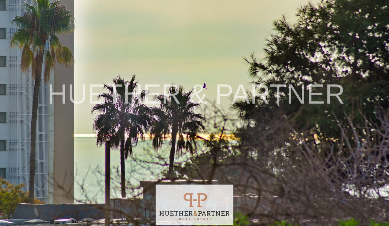 dc05cb81-9b82-4a78-bbde-ca9521c943ee